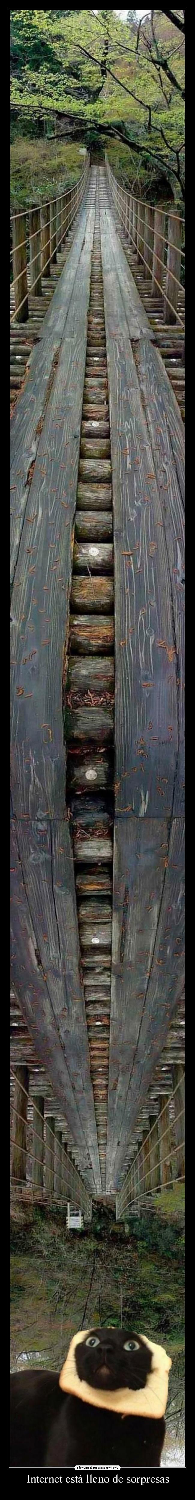Internet está lleno de sorpresas -
