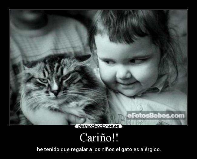 Cariño!! - he tenido que regalar a los niños el gato es alérgico.