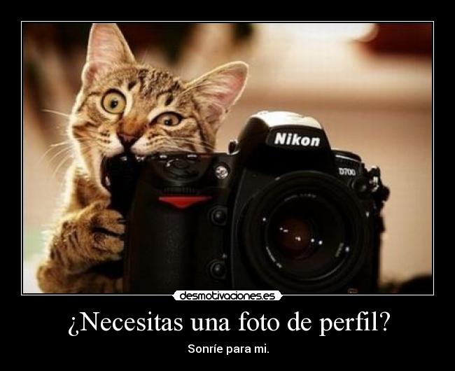 ¿Necesitas una foto de perfil? -