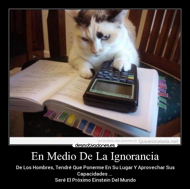 En Medio De La Ignorancia - 