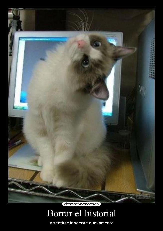 Borrar el historial - 
