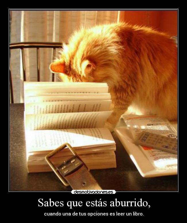 Sabes que estás aburrido, -