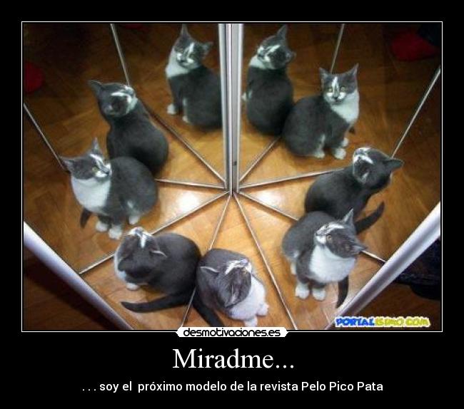Miradme... -
