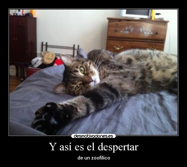 Y así es el despertar - de un zoofilico