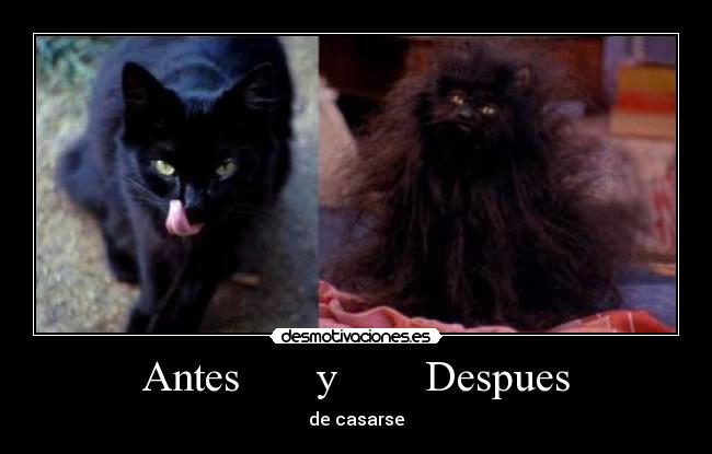 Antes       y        Despues - de casarse