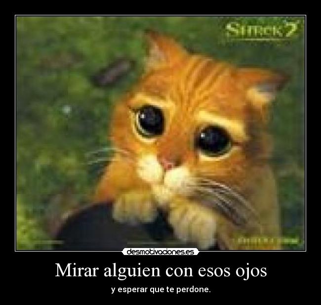 Mirar alguien con esos ojos - y esperar que te perdone.