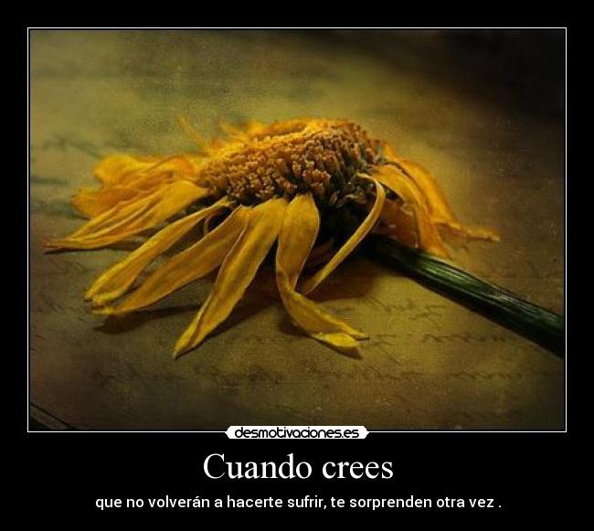 Cuando crees - que no volverán a hacerte sufrir, te sorprenden otra vez .