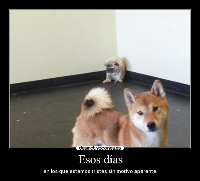 carteles  desmotivaciones