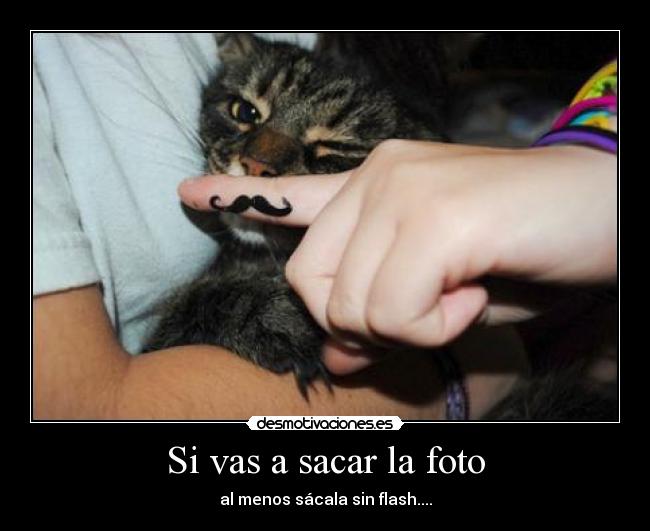 Si vas a sacar la foto - al menos sácala sin flash....