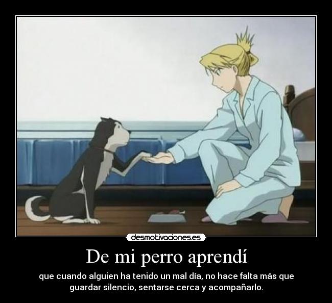 De mi perro aprendí -