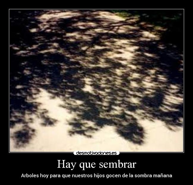 Hay que sembrar - Arboles hoy para que nuestros hijos gocen de la sombra mañana