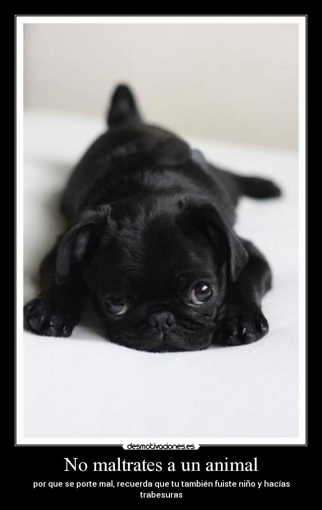 carteles vanete vanet vane van desmotivaciones