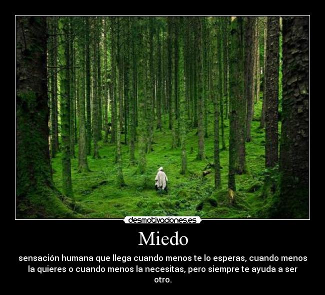 Miedo - sensación humana que llega cuando menos te lo esperas, cuando menos
la quieres o cuando menos la necesitas, pero siempre te ayuda a ser
otro.
