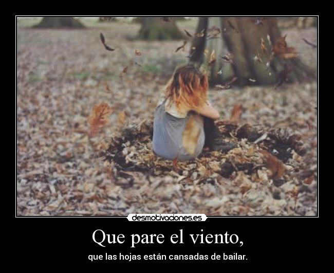Que pare el viento, - 