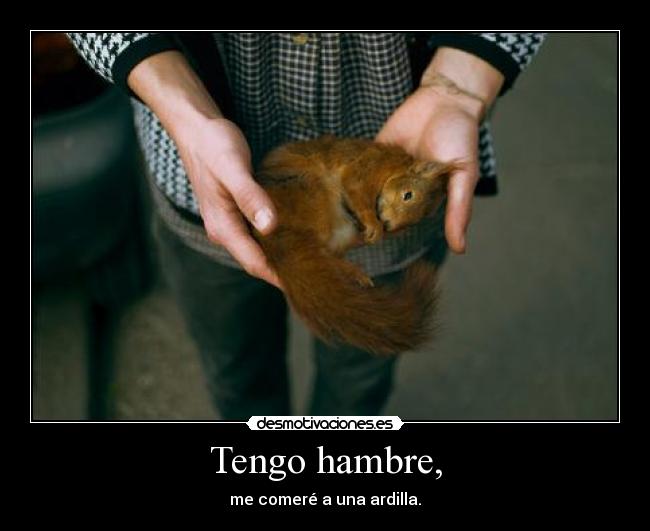 carteles cartel pendejo borrado seguro desmotivaciones