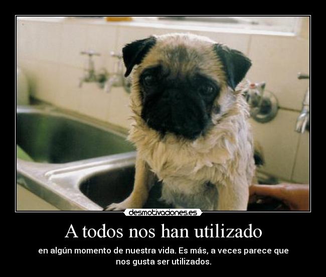 carteles tu haces amor follas desmotivaciones