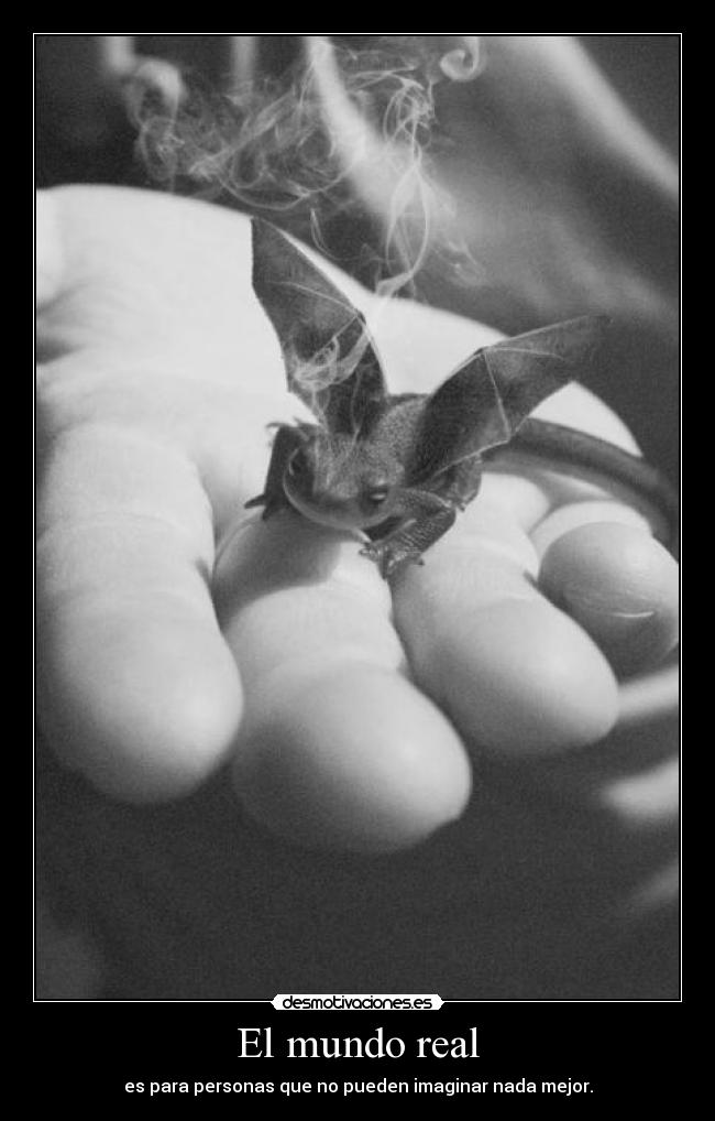 El mundo real - es para personas que no pueden imaginar nada mejor.