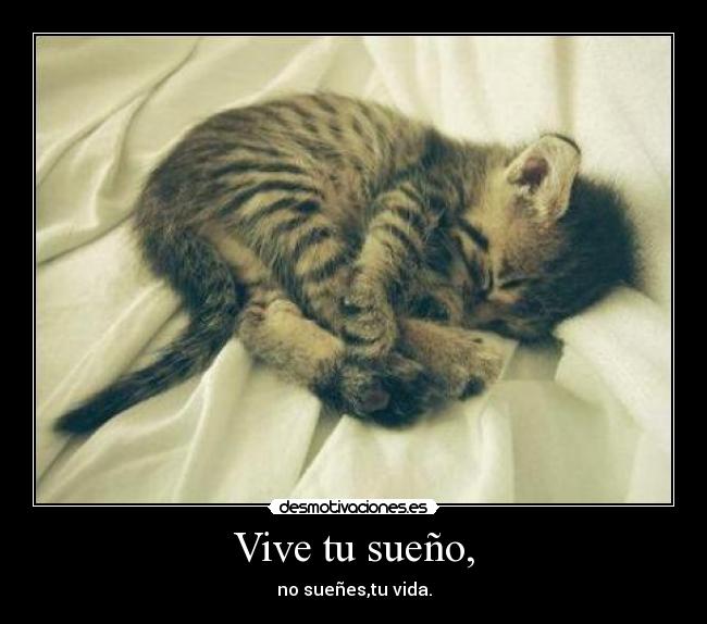 Vive tu sueño, -