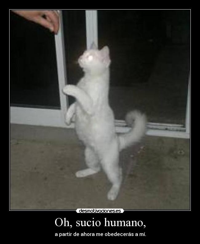 Oh, sucio humano, -