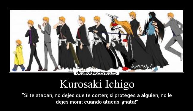 Kurosaki Ichigo - 