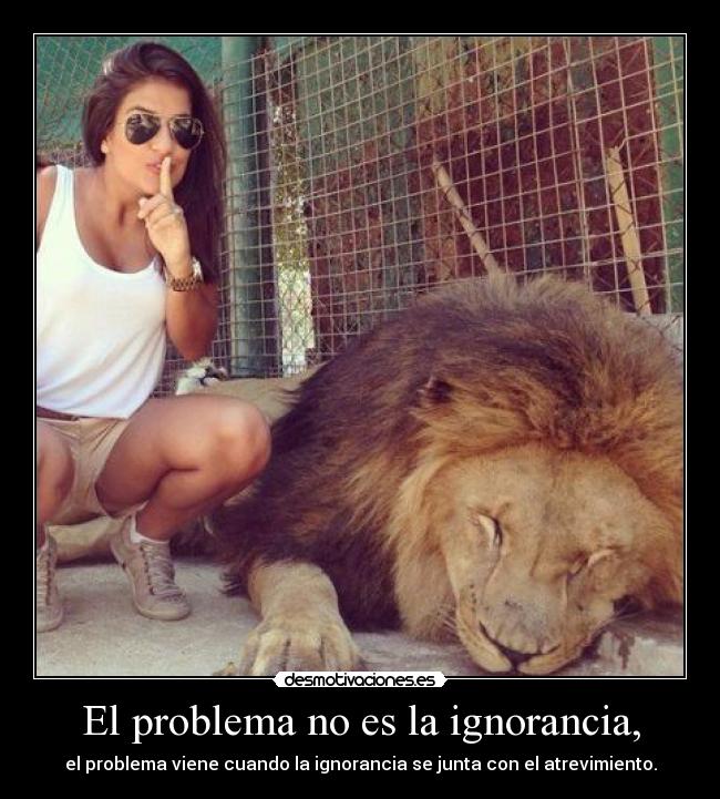 El problema no es la ignorancia, - 