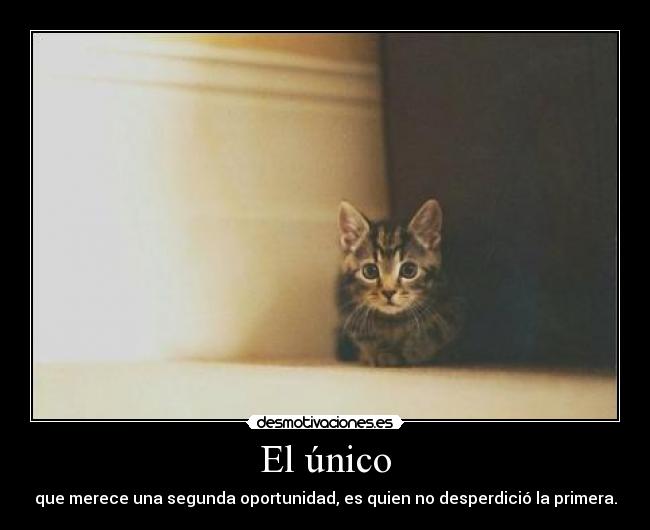 El único - que merece una segunda oportunidad, es quien no desperdició la primera.