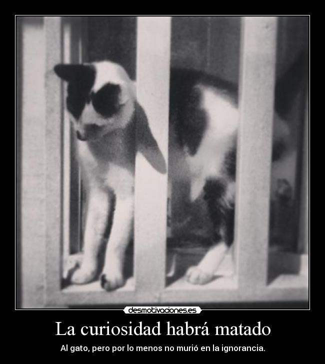 La curiosidad habrá matado - 