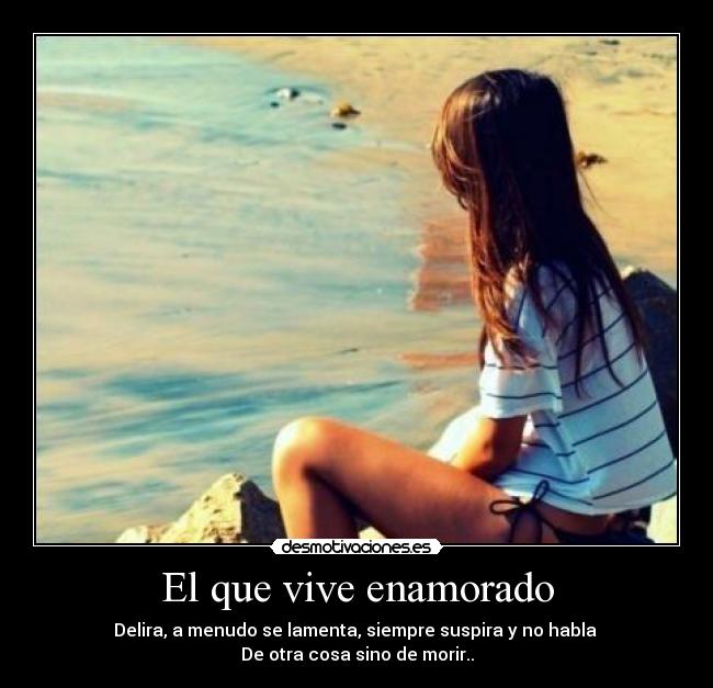 El que vive enamorado - Delira, a menudo se lamenta, siempre suspira y no habla
De otra cosa sino de morir..