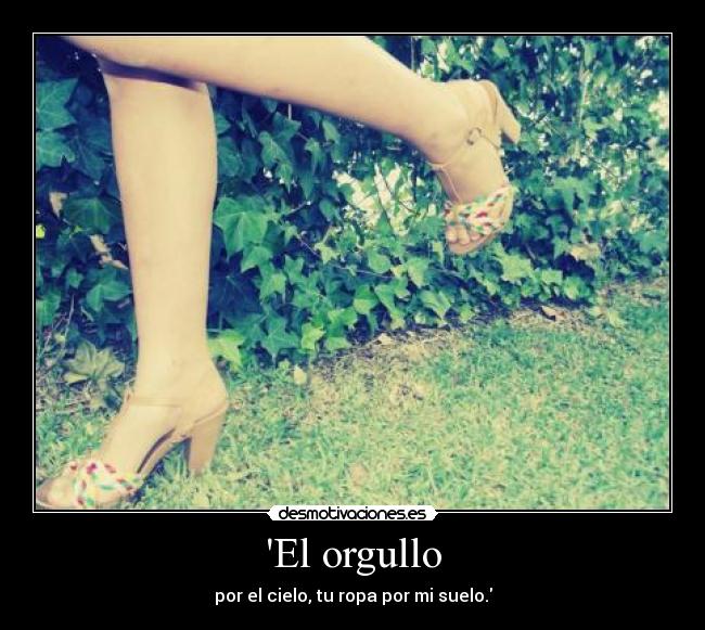 El orgullo - por el cielo, tu ropa por mi suelo.