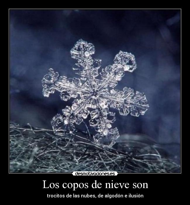 Los copos de nieve son -