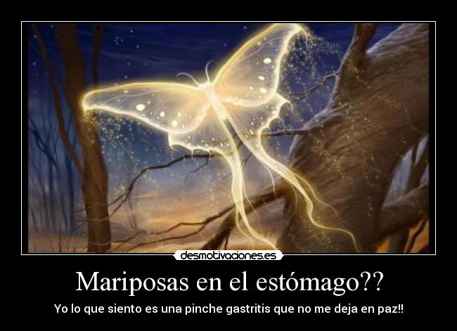 Mariposas en el estómago?? - Yo lo que siento es una pinche gastritis que no me deja en paz!!