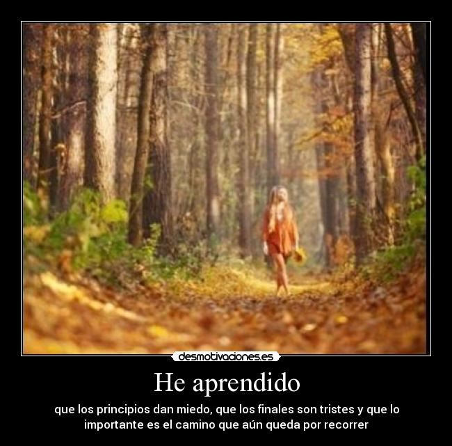 carteles aprendido ante todo sigue hacia delante abandones camino teqiero23 desmotivaciones