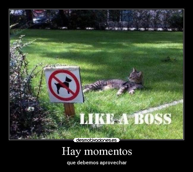 carteles erik lemmen meyer gavica desmotivaciones