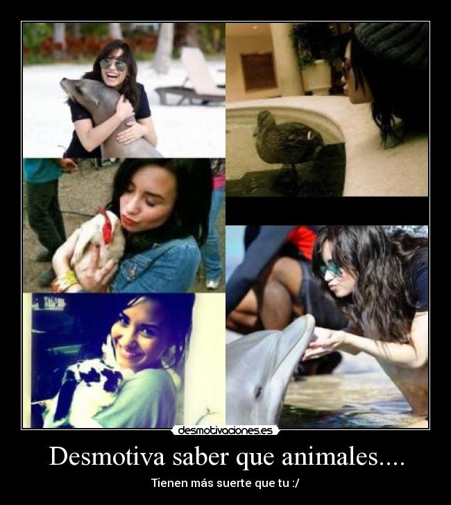 Desmotiva saber que animales.... - Tienen más suerte que tu :/