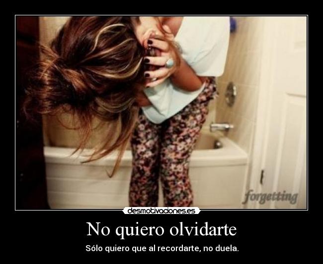 No quiero olvidarte -