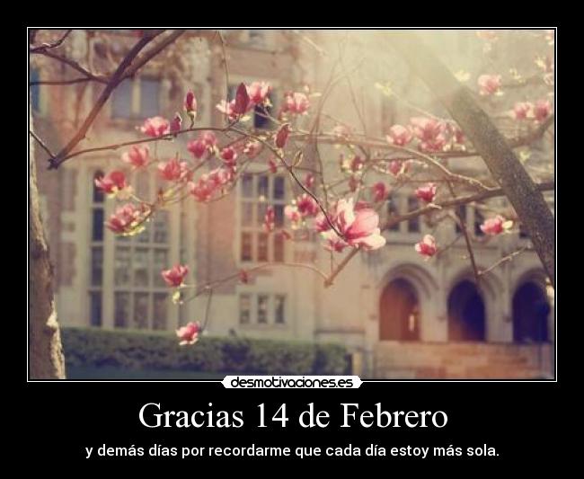 Gracias 14 de Febrero -