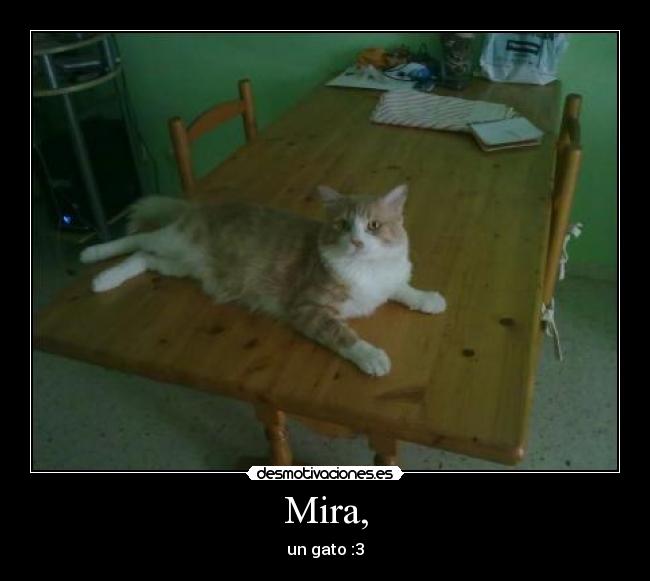 Mira, -