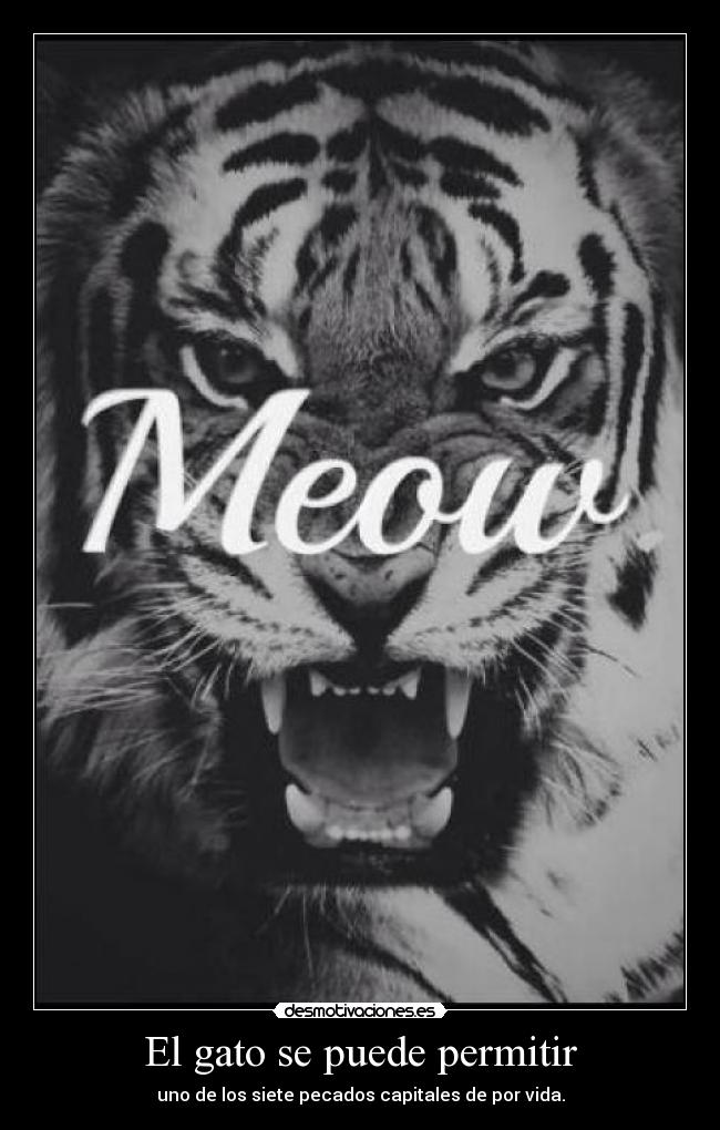 carteles ceroaladerechadespuesdecoma desmotivaciones