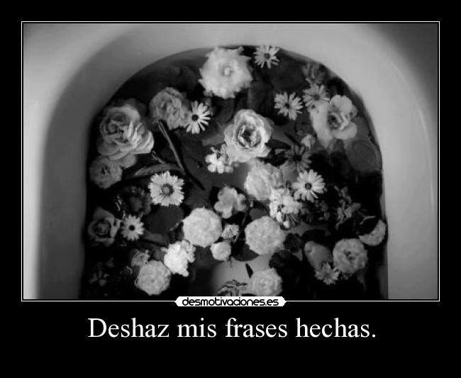 carteles frases ceroaladerechadespuesdecoma desmotivaciones