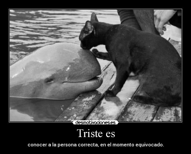 Triste es - 