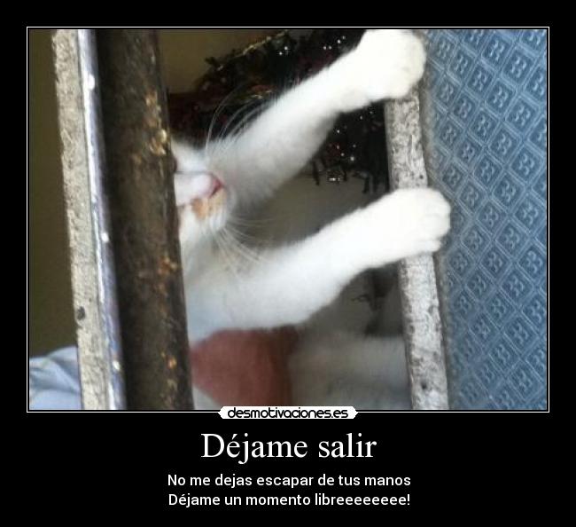Déjame salir - 