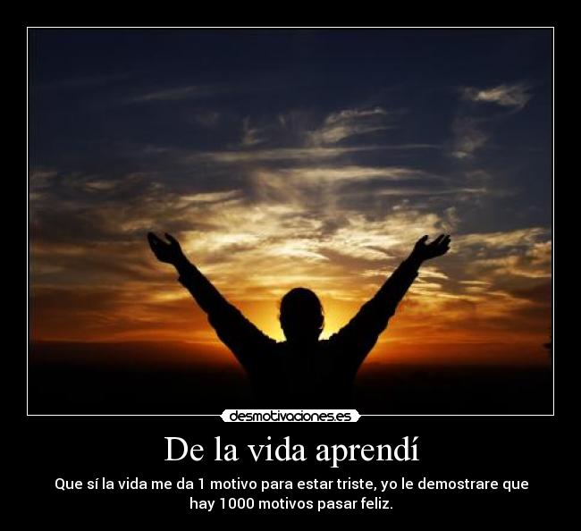 carteles vida vida desmotivaciones