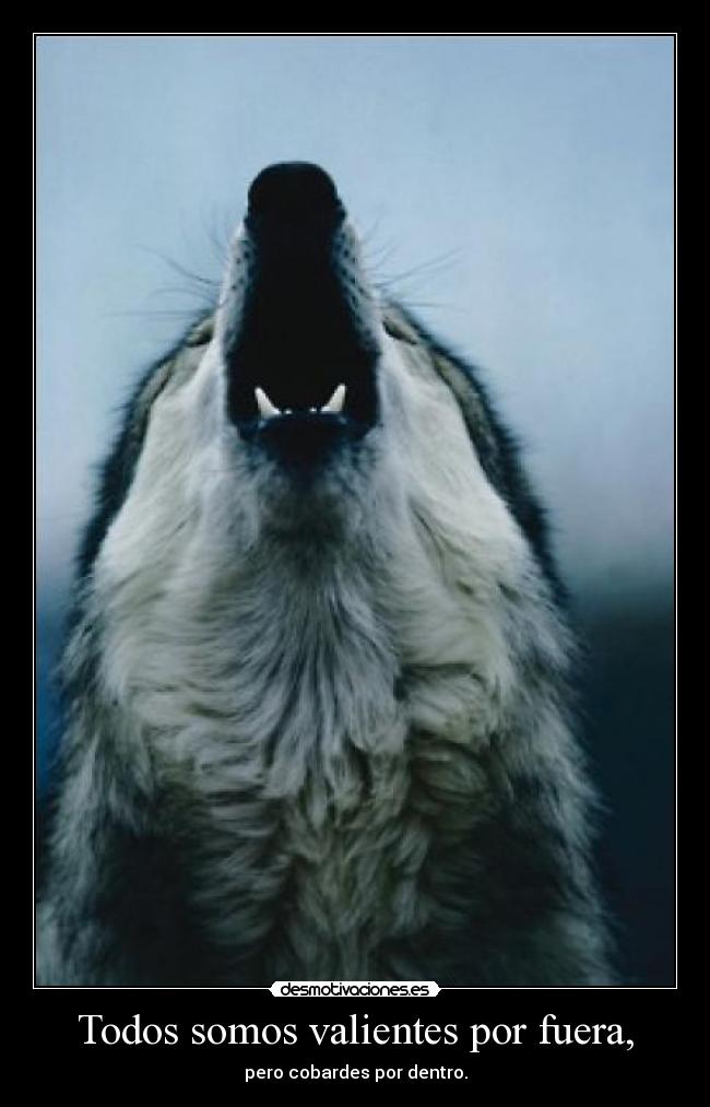 Todos somos valientes por fuera, -