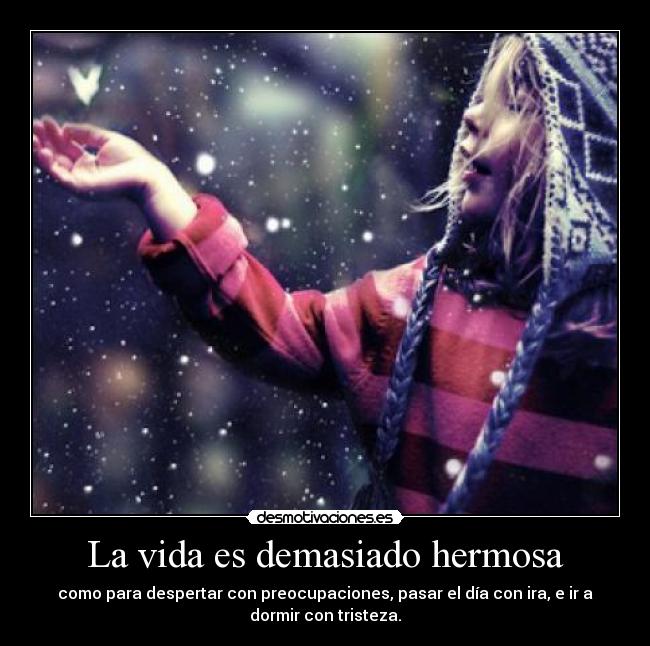 La vida es demasiado hermosa - como para despertar con preocupaciones, pasar el día con ira, e ir a
dormir con tristeza.