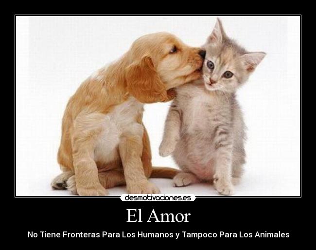 carteles amor chris99 desmotivaciones