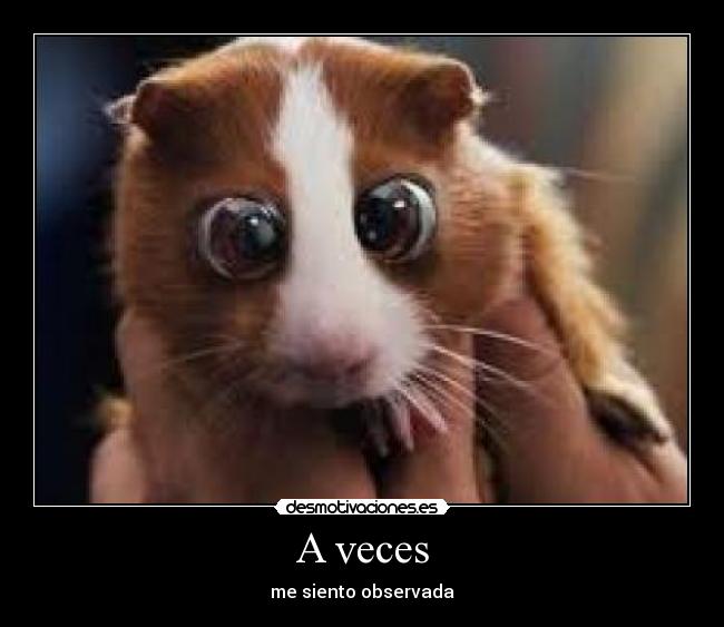 A veces -