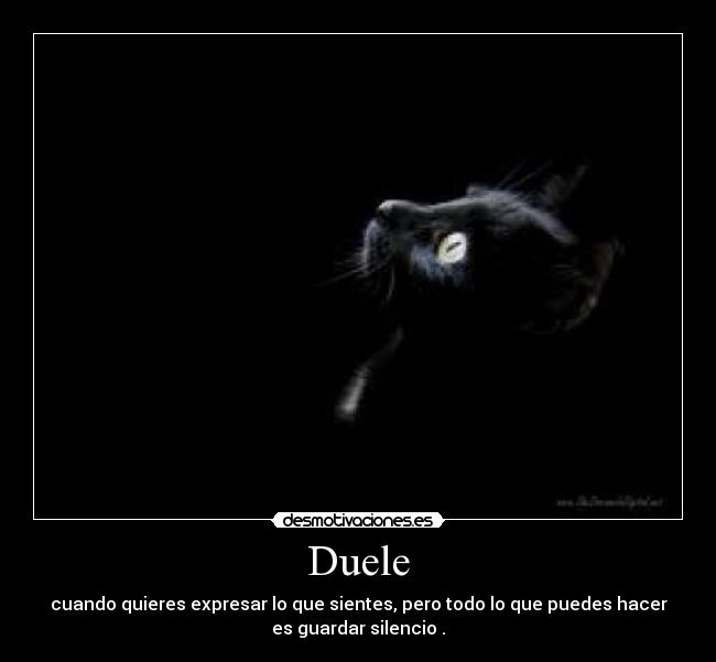 Duele - 