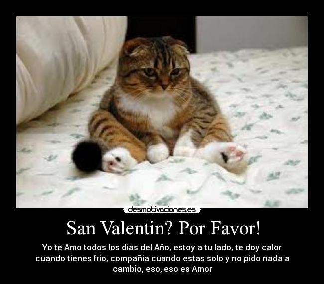 San Valentin? Por Favor! - Yo te Amo todos los dias del Año, estoy a tu lado, te doy calor
cuando tienes frio, compañia cuando estas solo y no pido nada a
cambio, eso, eso es Amor