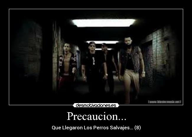 Precaucion... - Que Llegaron Los Perros Salvajes... (8)
