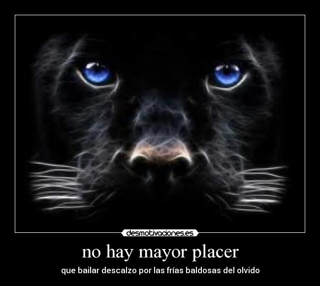 no hay mayor placer -